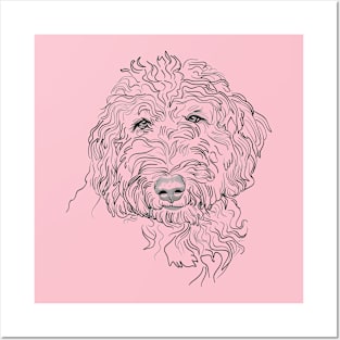 Goldendoodle Dog Sketch Drawing Tee Posters and Art